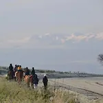 Unique, 2,centre Equestre & Snacks *