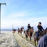 Apartment Unique, 2,centre Equestre & Snacks *