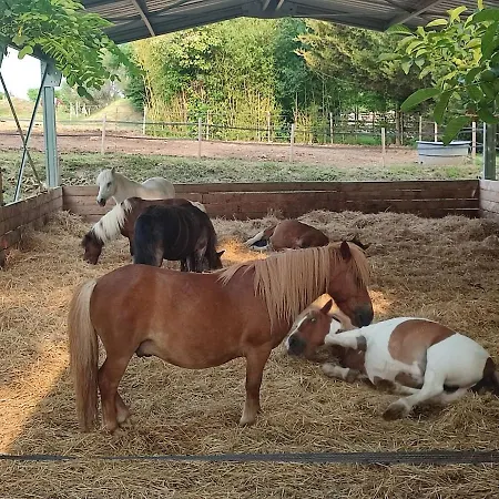 Apartment Unique, 2,centre Equestre & Snacks
